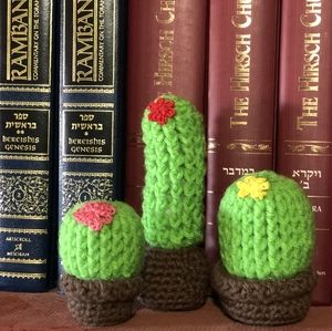 Set of 3 beautiful cactus